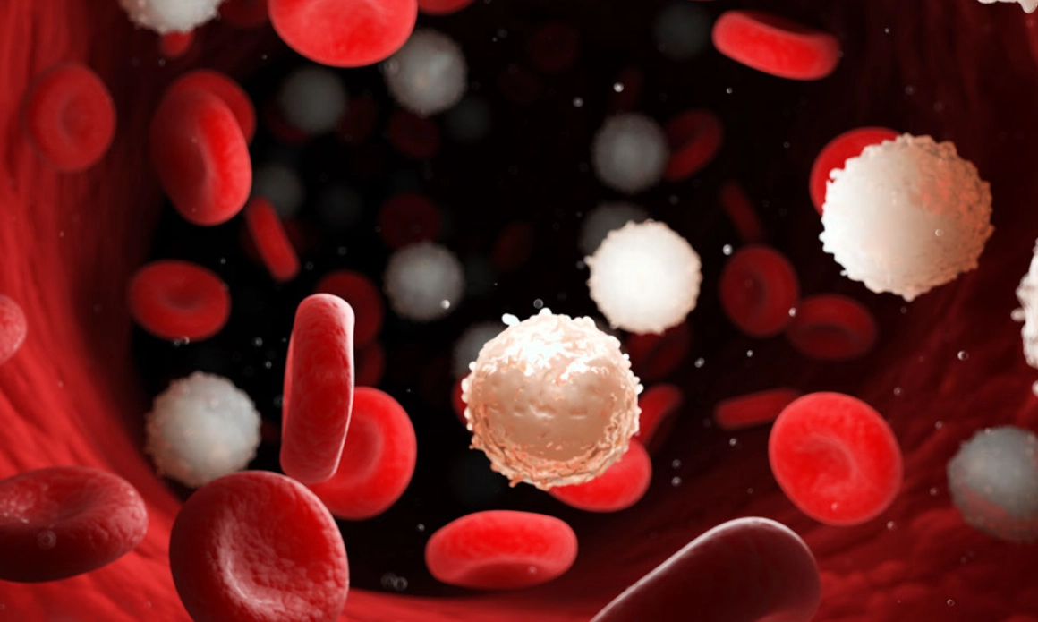 淋巴白血球低全解析：原因、症狀與改善方法