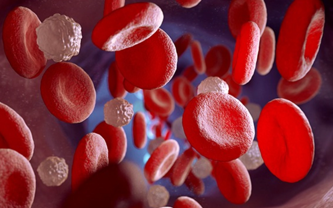 淋巴白血球低原因