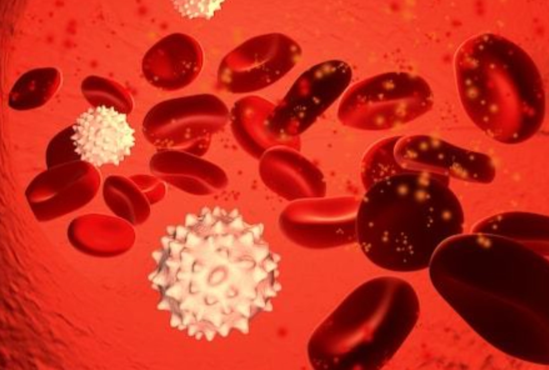 白血球過低怎麼辦