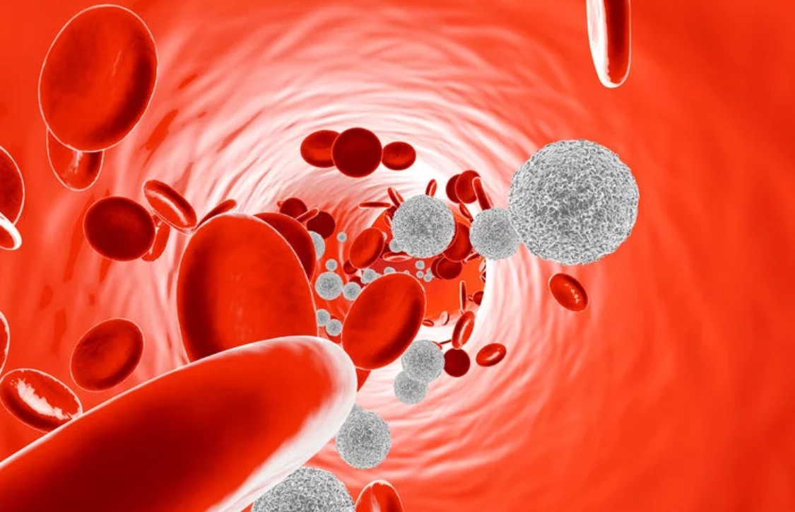 白血球過低怎麼辦