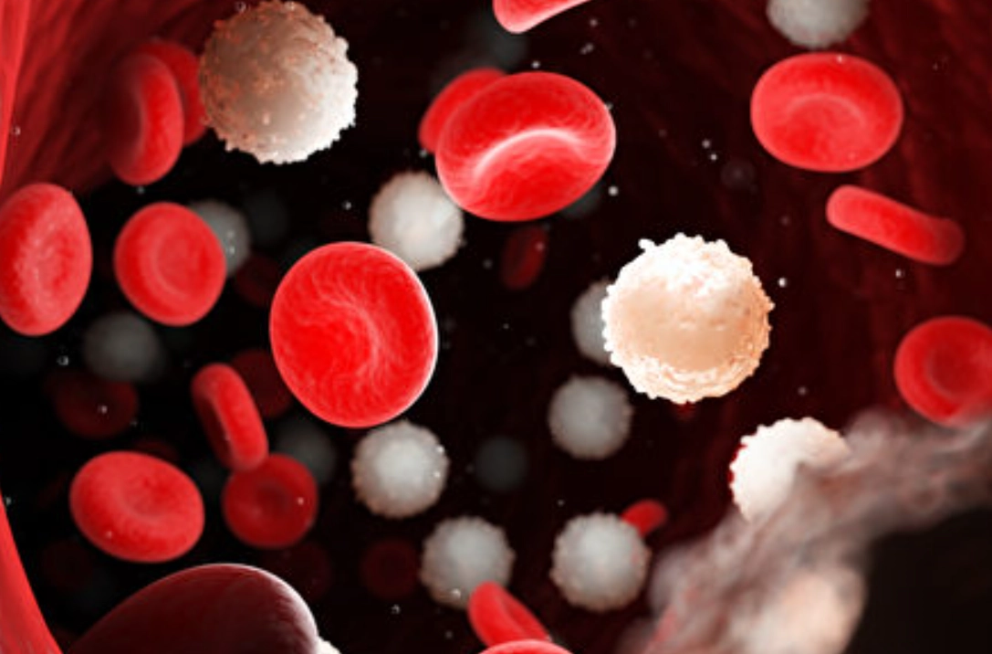 白血球過低感染症狀