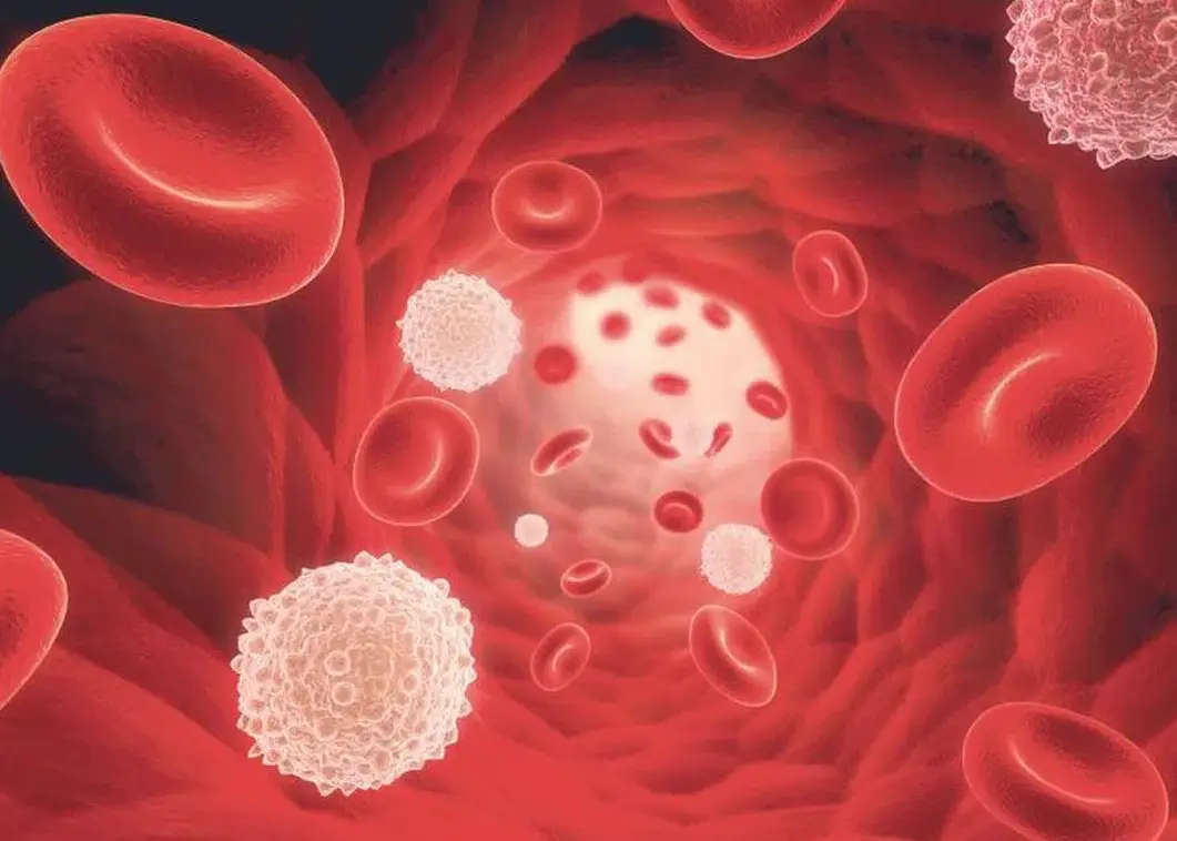 血癌白血球過低照護指南：症狀、風險與日常防護對策