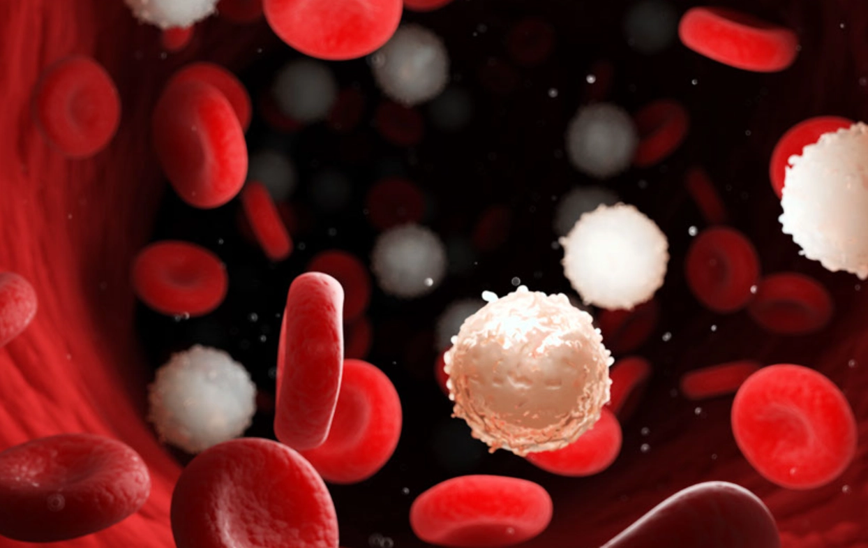 白血球低看哪科 白血球低看哪科