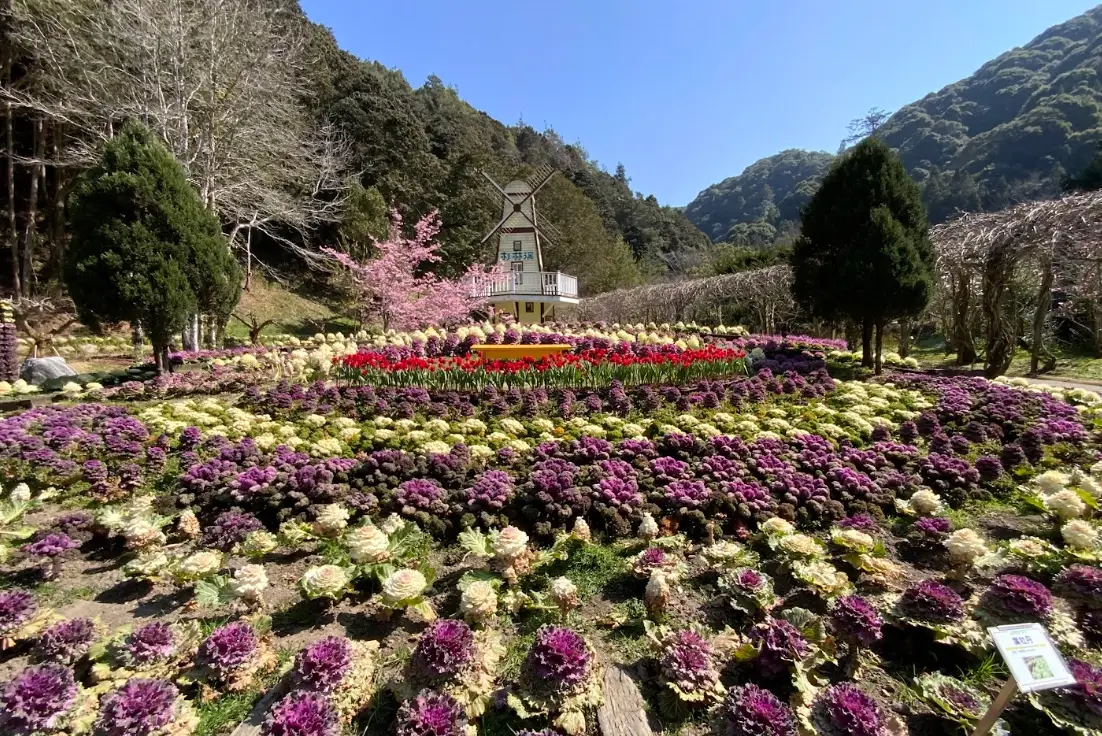 台北到杉林溪交通