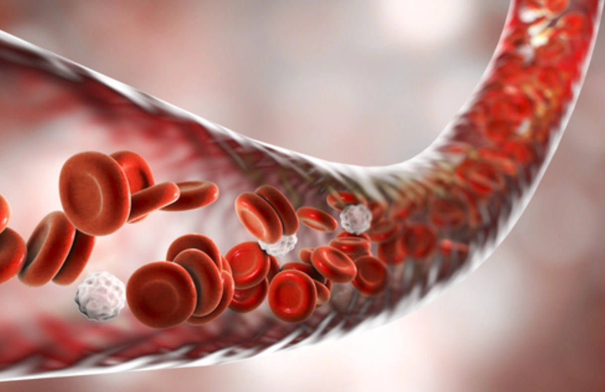 白血球偏低症狀