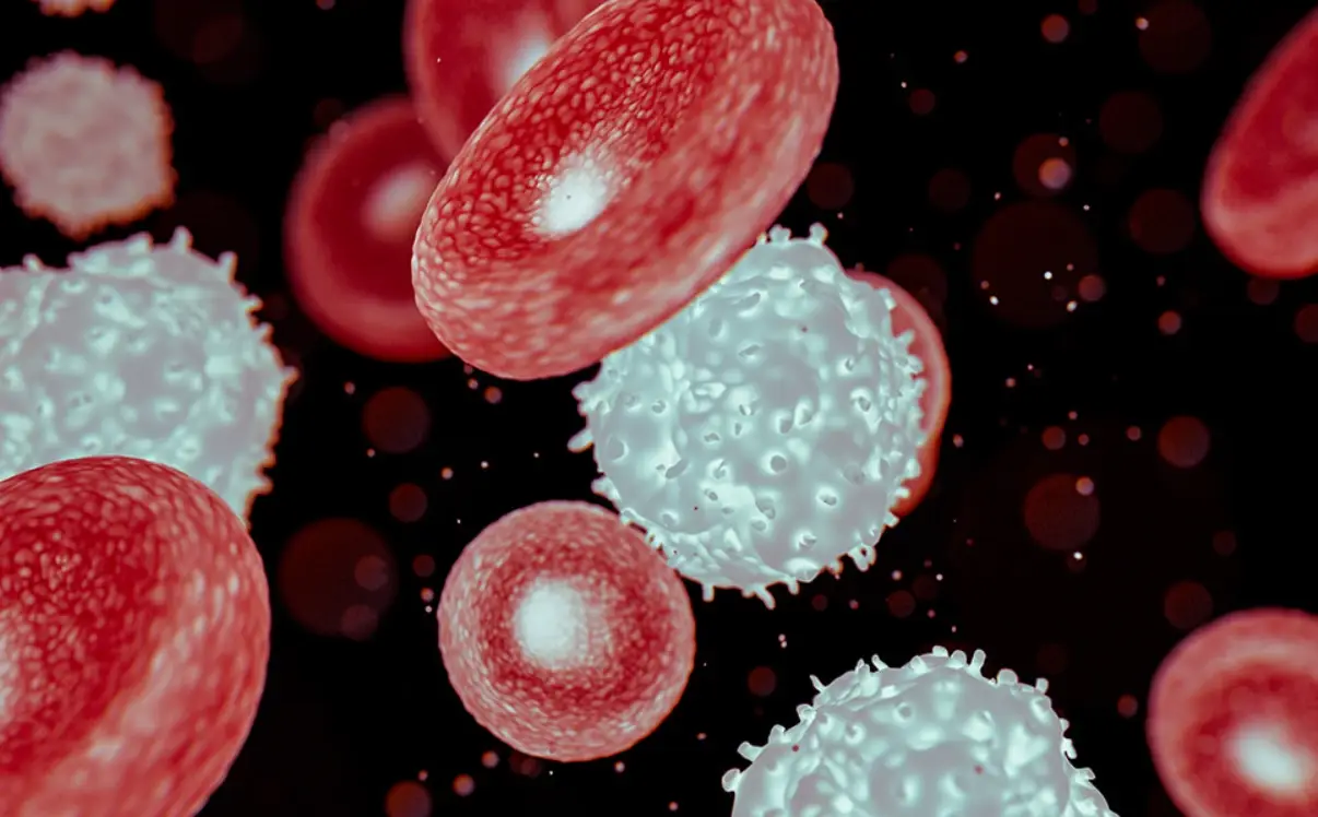 紅血球白血球偏低原因、症狀、飲食全指南