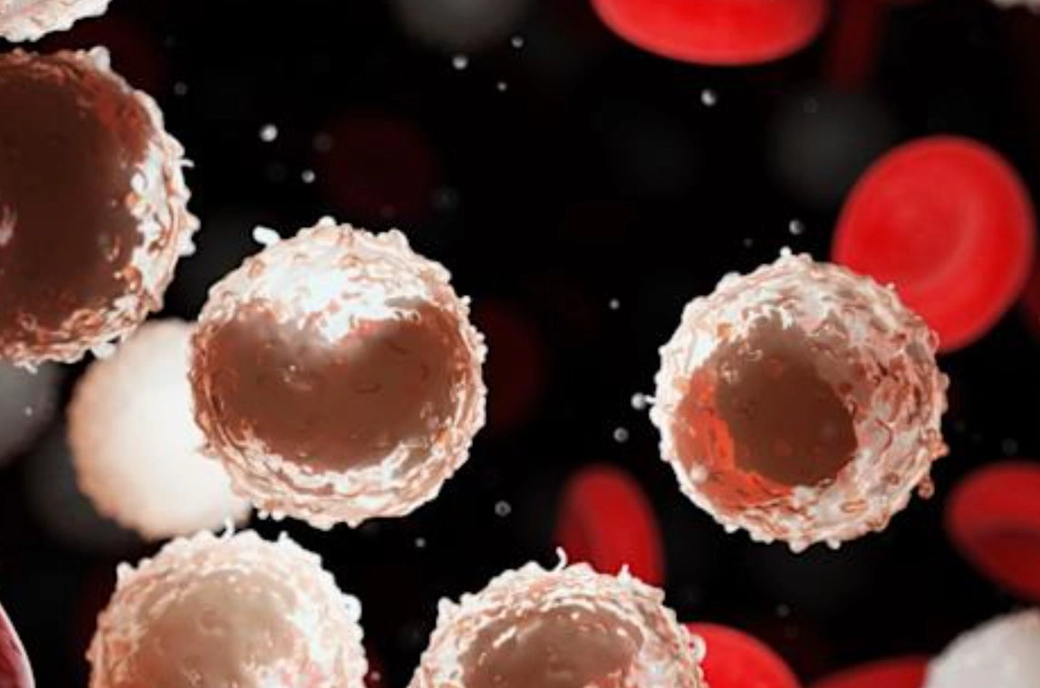 白血球過低是血癌嗎？醫師解析原因、警訊與正確就醫步驟