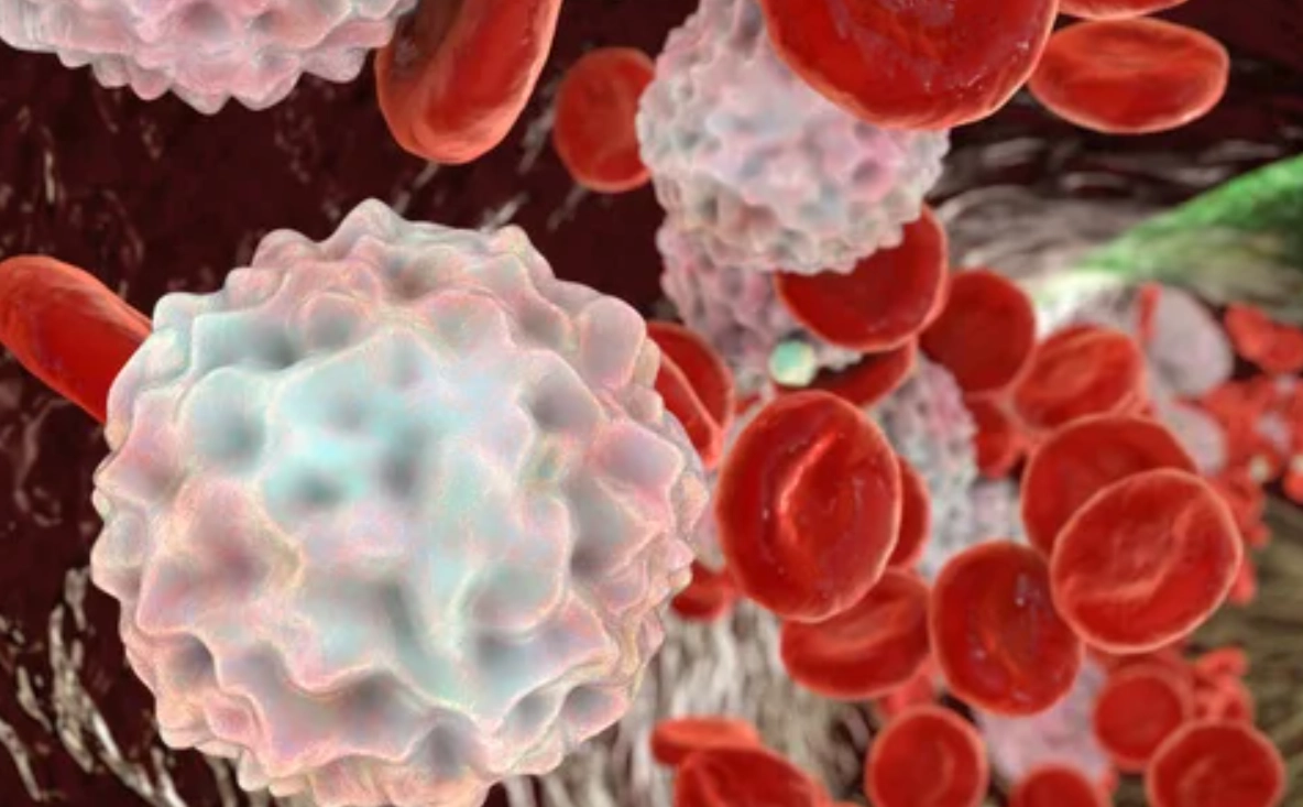 白血球低看哪科 白血球低看哪科