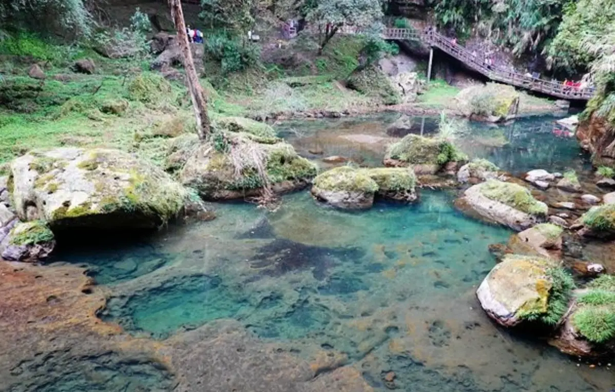 杉林溪交通方式