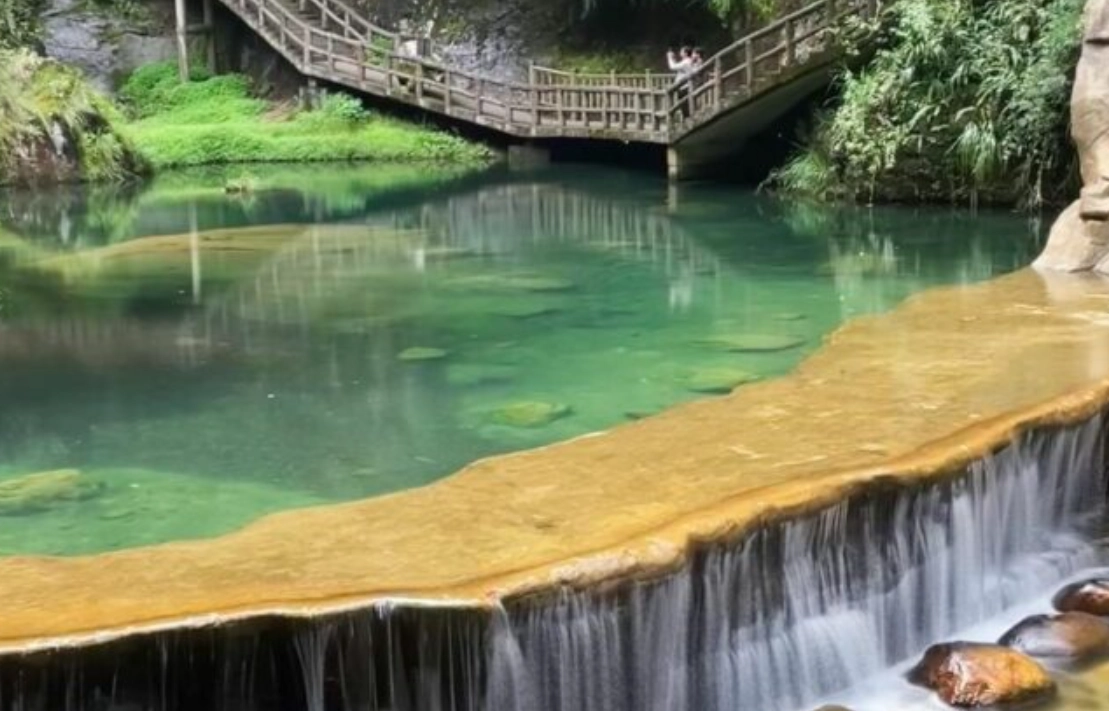 杉林溪交通方式