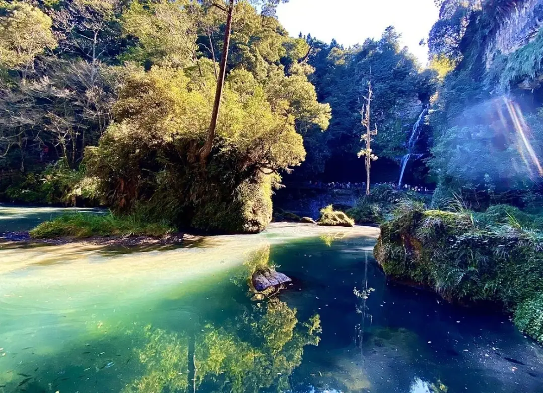 杉林溪門票價格