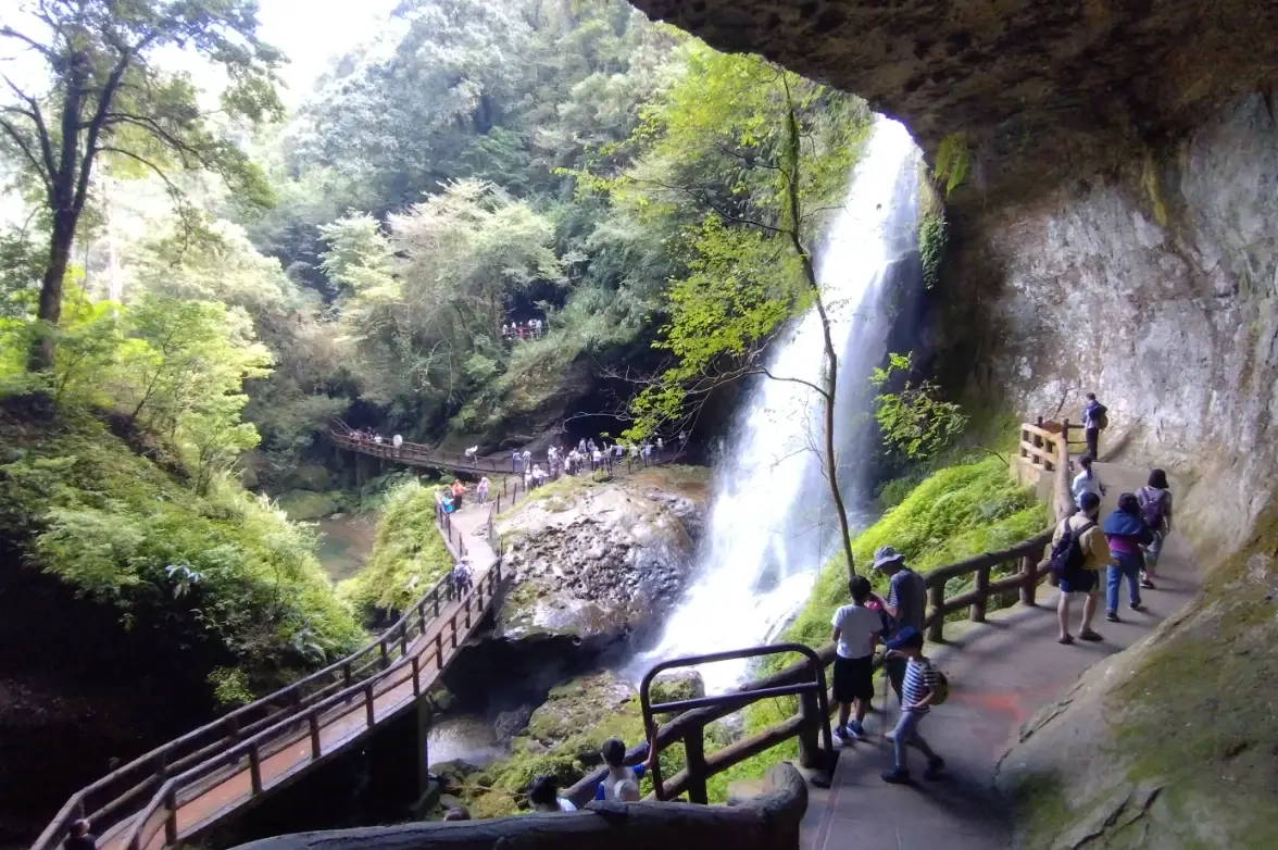 杉林溪一日遊交通全攻略：自駕、公車、包車怎麼選最划算？