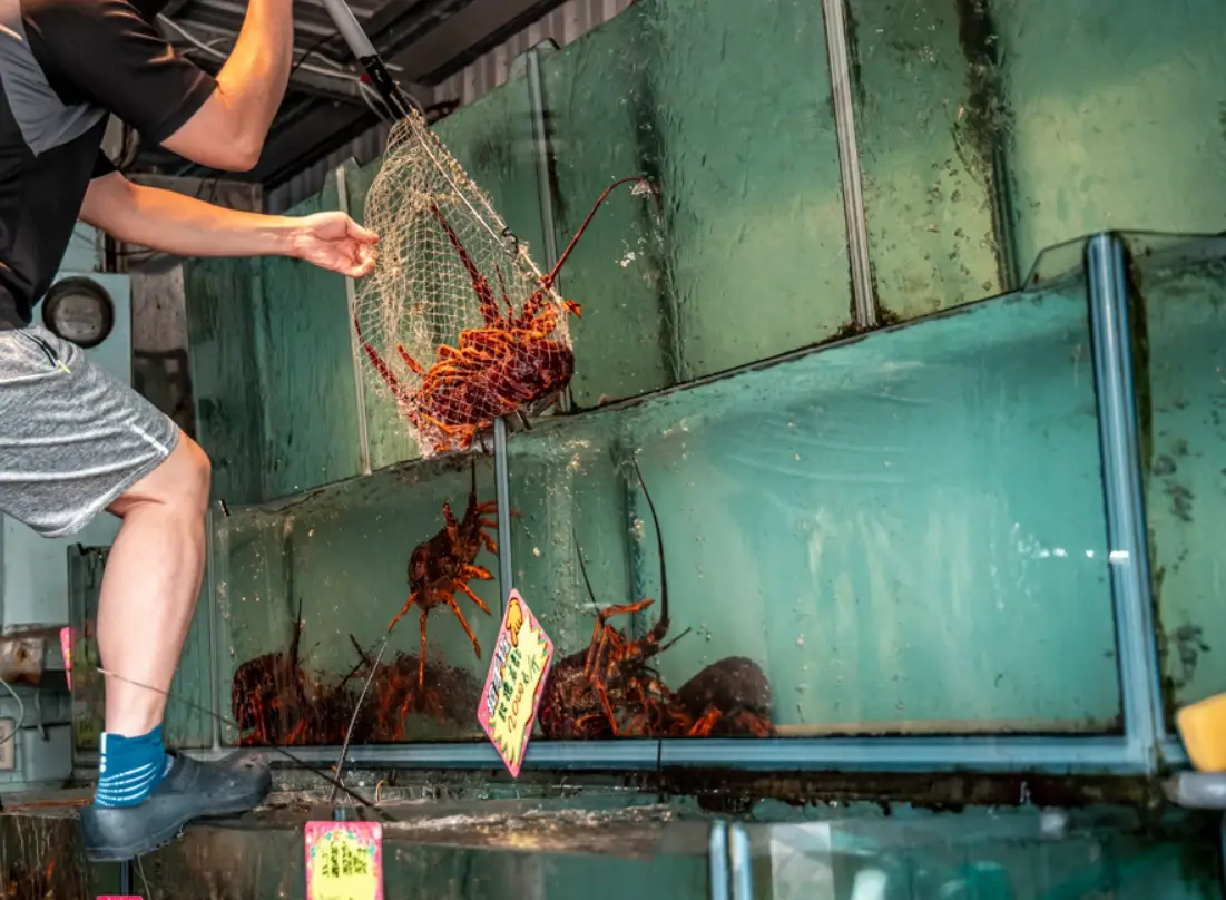 屏東海鮮市場攻略 屏東海鮮市場攻略