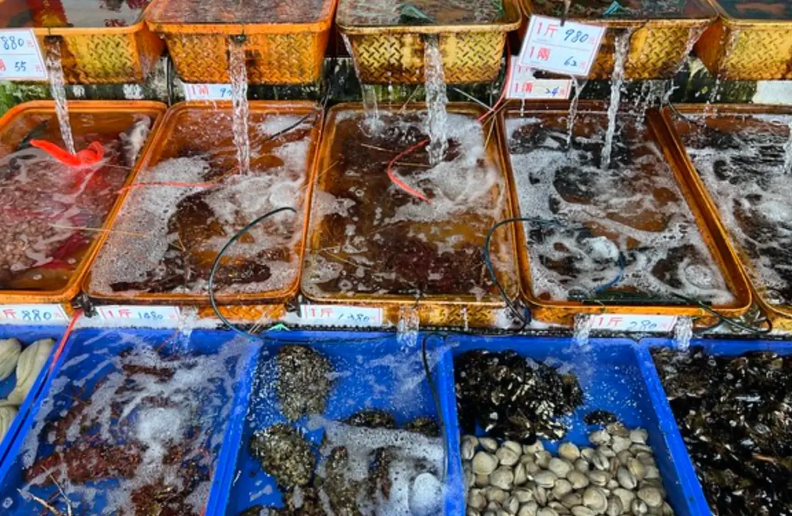 後壁湖海鮮推薦 後壁湖海鮮推薦