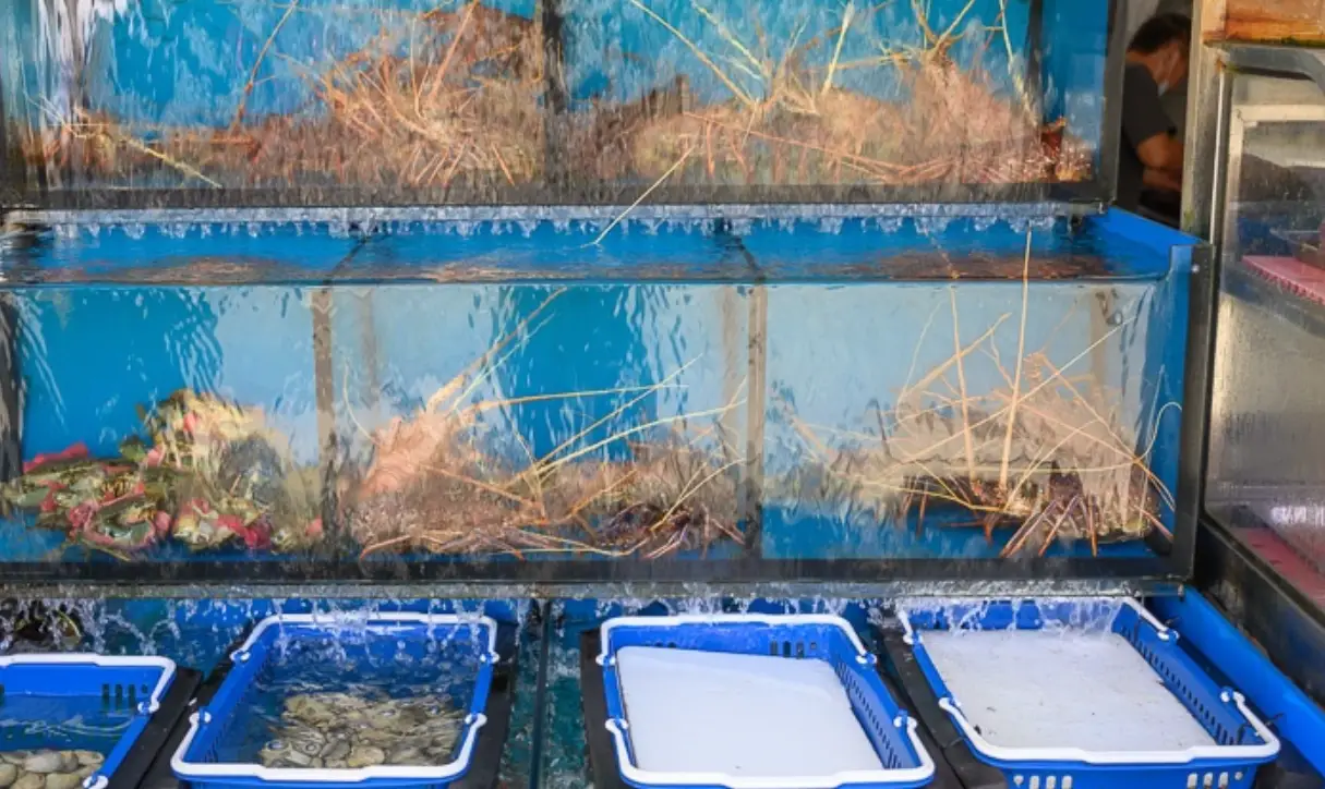 屏東海鮮市場攻略 屏東海鮮市場攻略