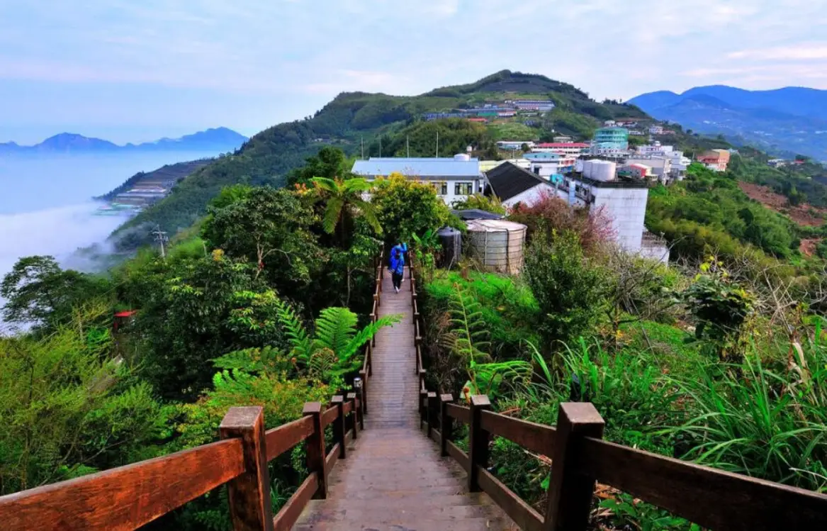 嘉義旅遊 不開車 嘉義旅遊 不開車