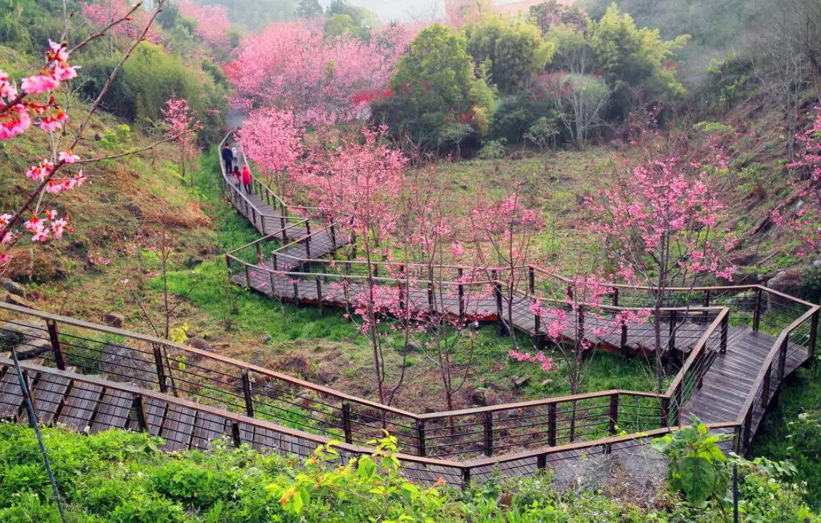 嘉義旅遊景點推薦 嘉義旅遊景點推薦