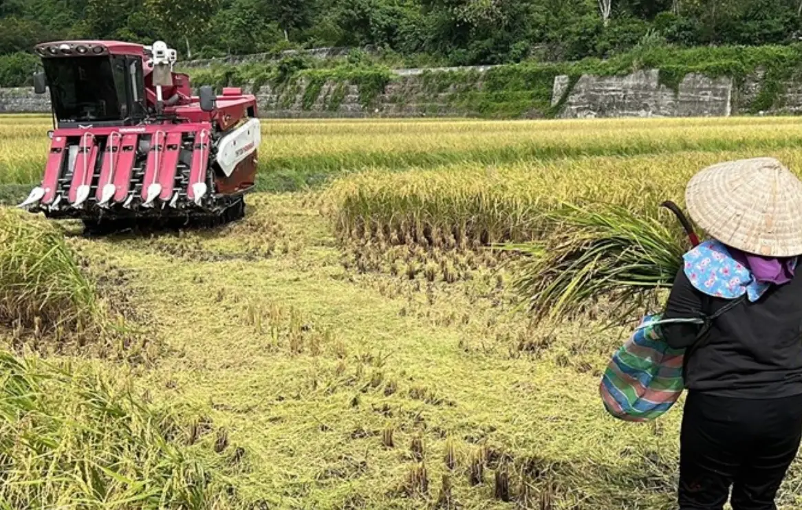 老農津貼存款計算