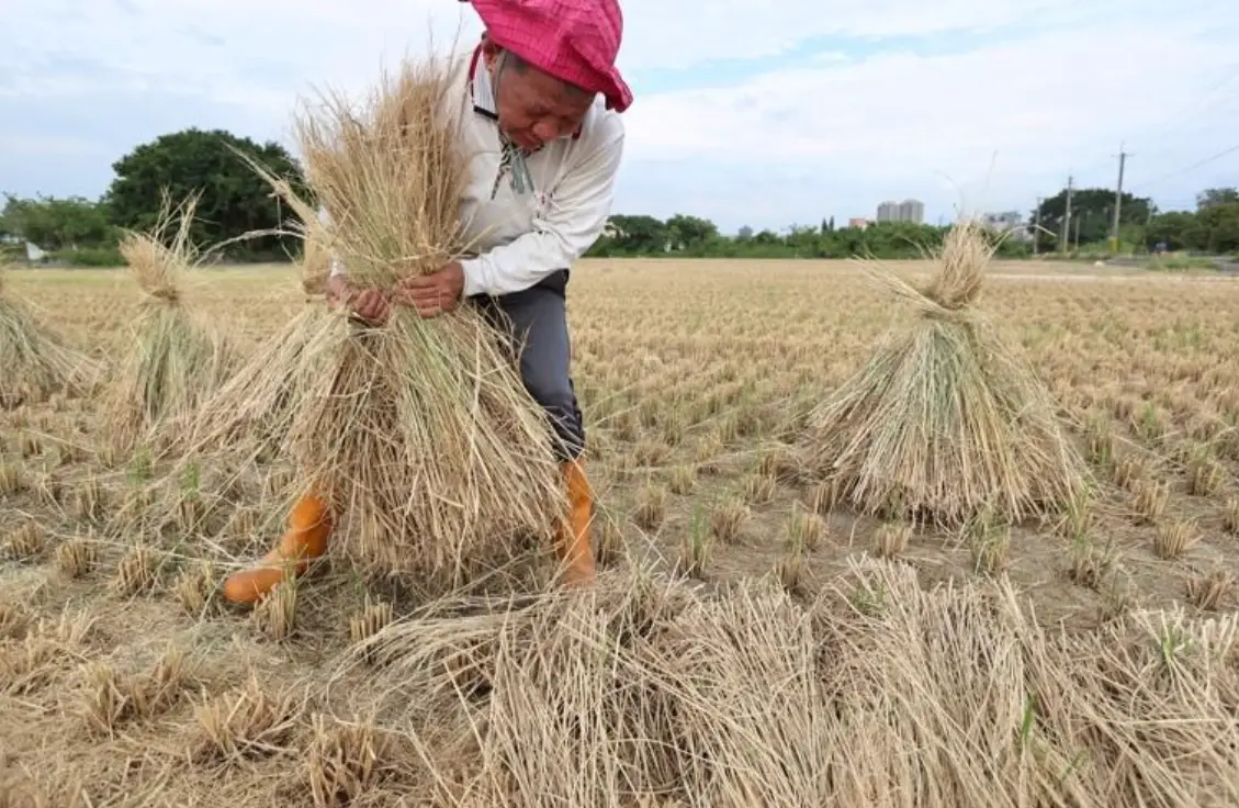 老農津貼申請資格