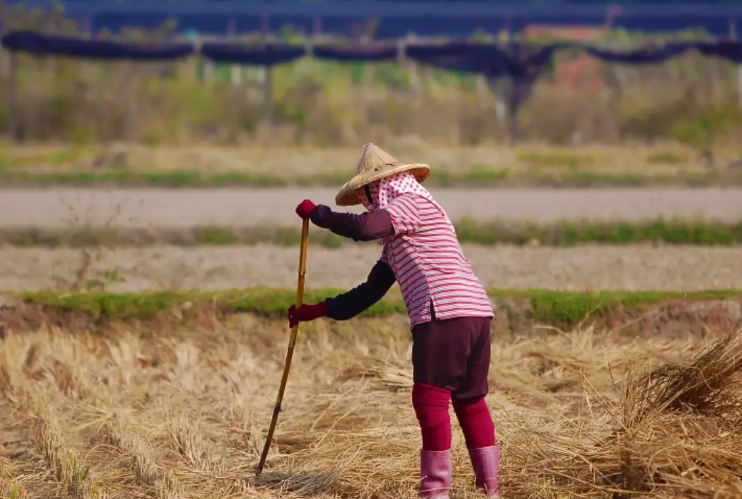 老農津貼存款計算