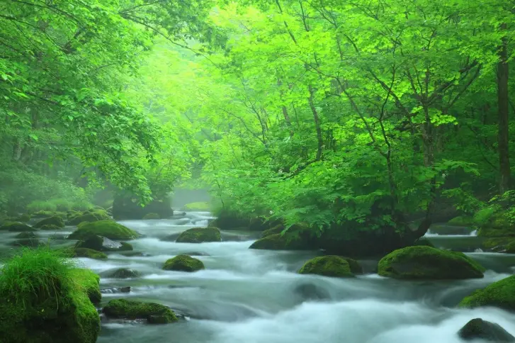 青森自由行攻略