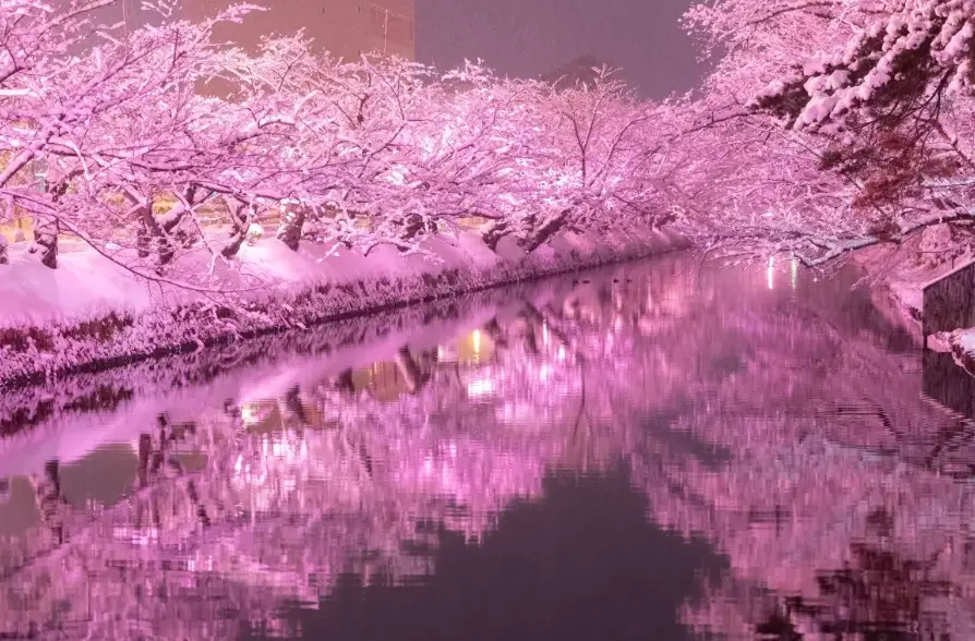 青森機場 到 弘前