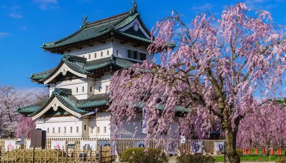 青森旅遊攻略 青森旅遊攻略