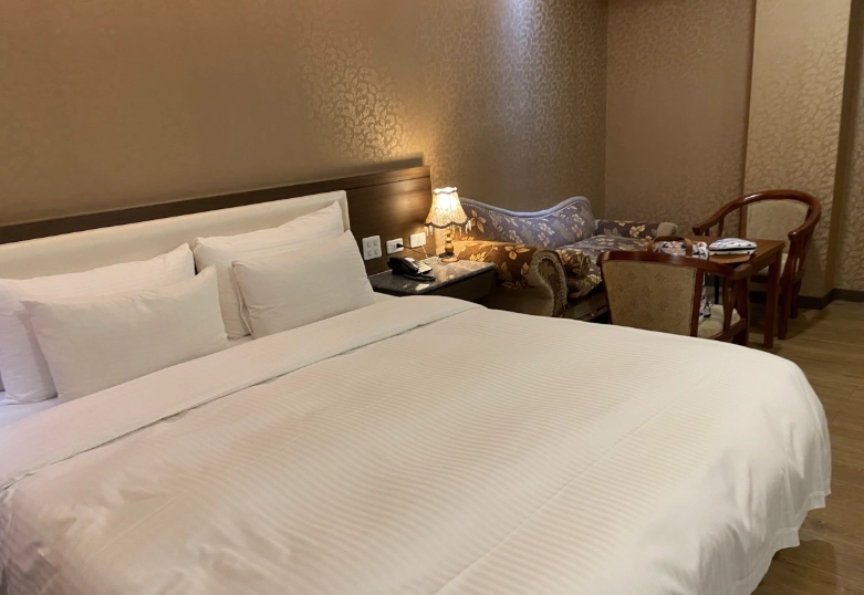 鎮瀾宮附近飯店 鎮瀾宮附近飯店