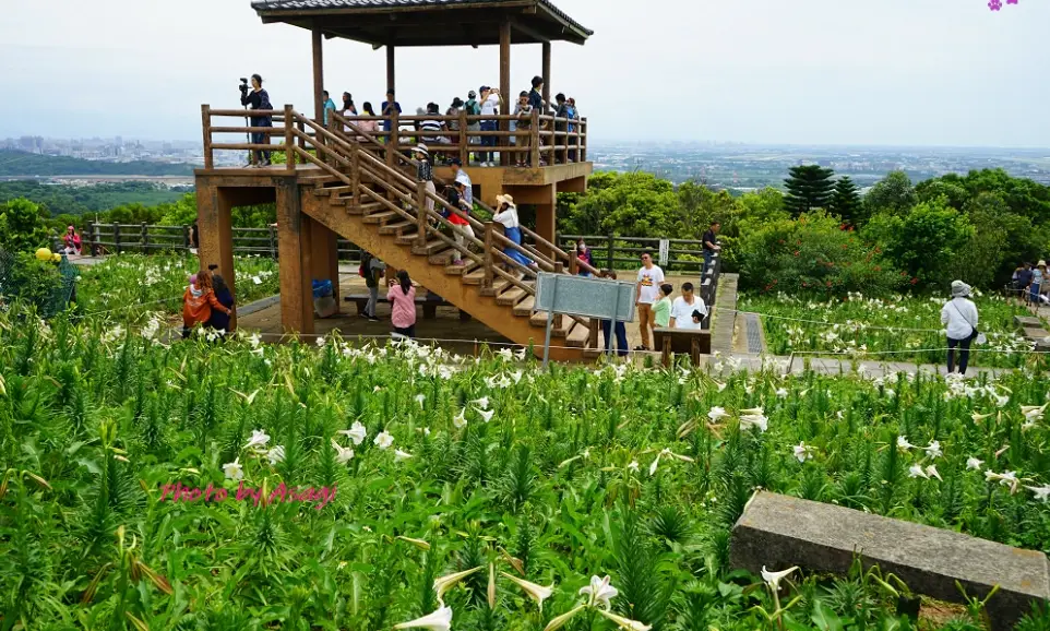 桃園夜景 桃園夜景