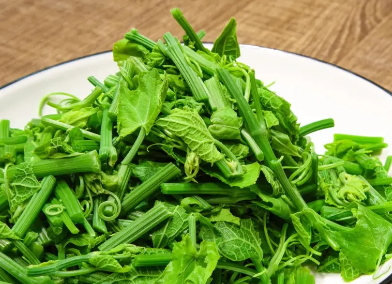 台北沙拉餐廳 台北沙拉餐廳