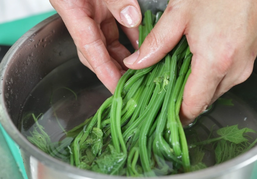龍鬚菜醬汁食譜 龍鬚菜醬汁食譜