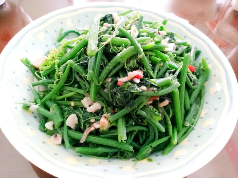 龍鬚菜 營養價值 龍鬚菜 營養價值