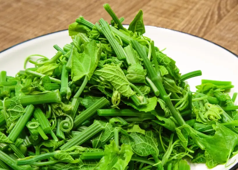 龍鬚菜醬汁調製 龍鬚菜醬汁調製