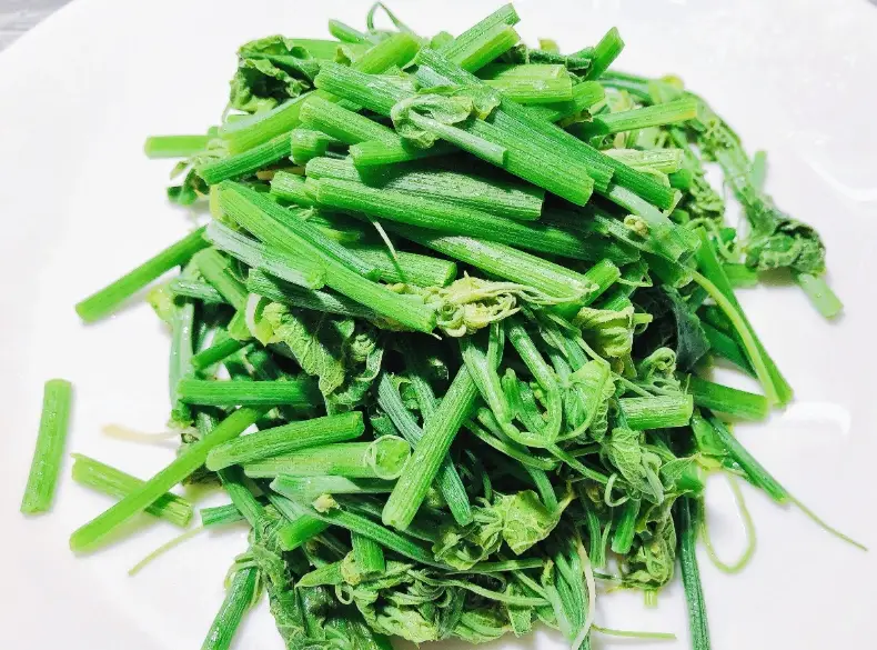 龍鬚菜 鬚鬚 龍鬚菜 鬚鬚