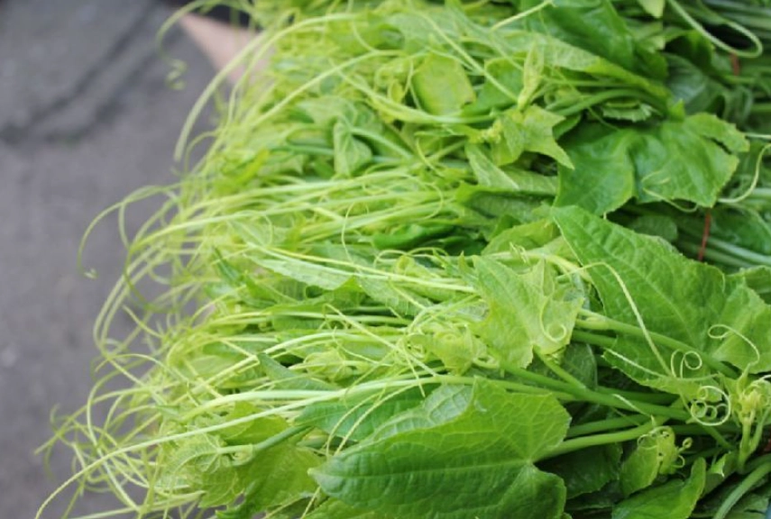 台北沙拉餐廳 台北沙拉餐廳