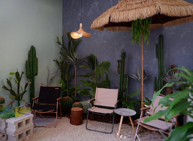 仙人掌室內佈置