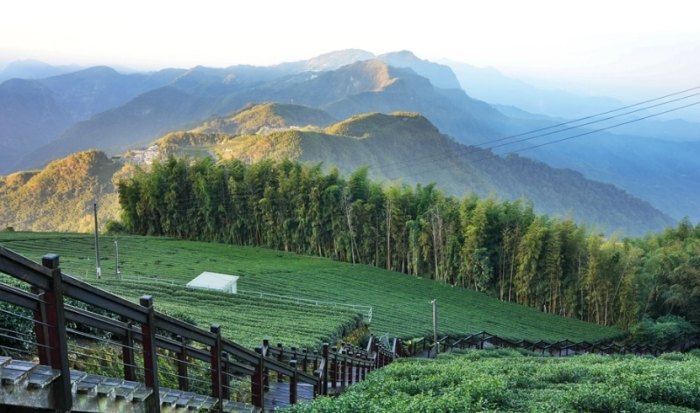 嘉義阿里山三天兩夜 嘉義阿里山三天兩夜