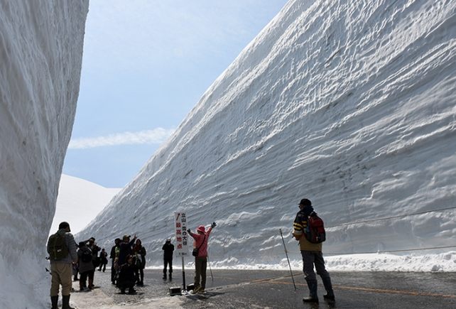 立山黑部交通券 立山黑部交通券