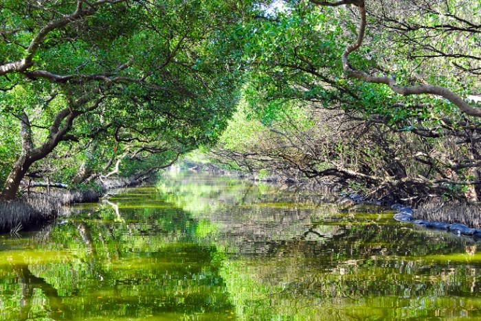 雲嘉南旅遊攻略