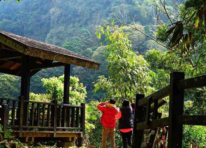 台南嘉義美食推薦