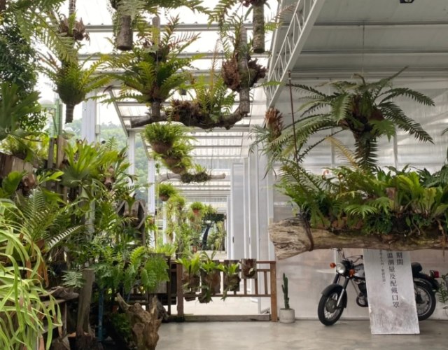 雲林嘉義旅遊景點