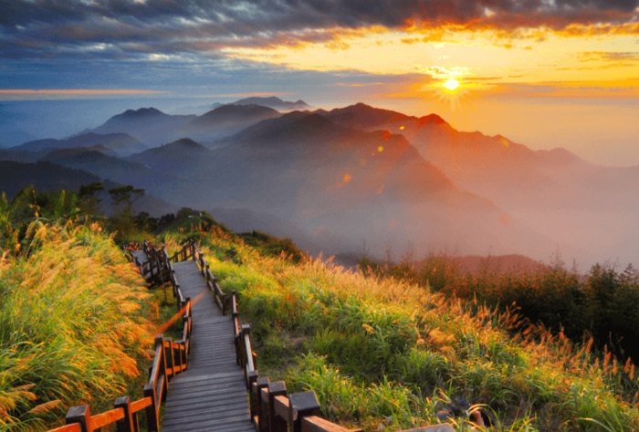 阿里山三天兩夜行程