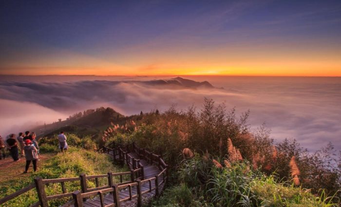 阿里山旅遊攻略