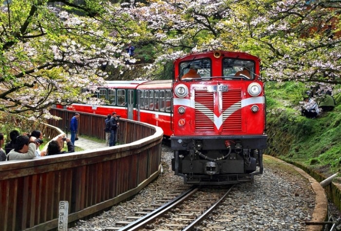 阿里山住宿推薦