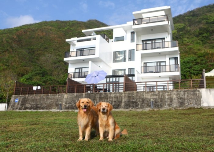 南投寵物友善住宿