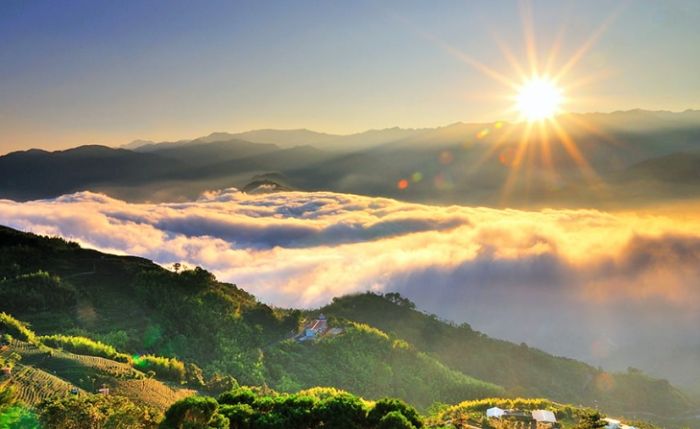 阿里山旅遊攻略