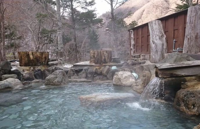 東京溫泉旅館一泊二食