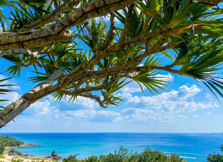 沖繩自由行不開車