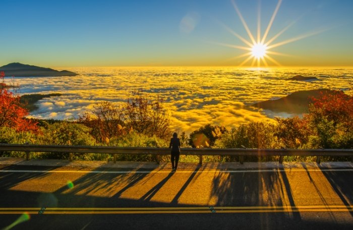 阿里山三天兩夜怎麼玩