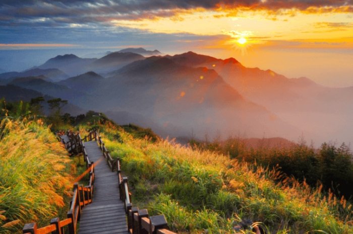 阿里山行程規劃 阿里山行程規劃